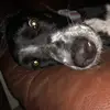 danielll - @daniel.ardelean1023 - TikTok
