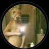 daniel areias - @daniel.areias13 - TikTok