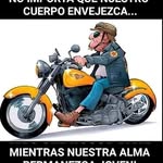 Daniel arenales - @daniel.arenales - Instagram