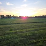 Daniel Arend - @dwheelz69 - Instagram