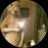 Daniel Arevalos - @daniel.arevalos1 - TikTok