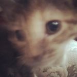 Daniel_argentino - @dani_argentino2048 - Instagram