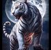 Daniel Argo - Facebook