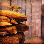 Daniel Argov - @daniel.argov - Instagram