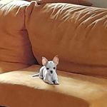 Daniel Argudo Vera - @danielargudovera - Instagram