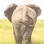 Daniel Argus - @argus2675 - Instagram