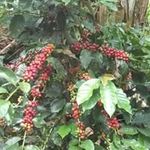 Daniel Arita - @daniel.arita.142 - Instagram