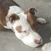 Ark Daniel - Facebook
