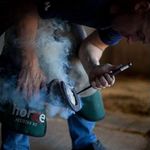 Daniel Ark Evensen - @danielarkevensen - Instagram