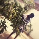 Daniel Arkorful - @d.arkorful - Instagram