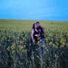 Daniel Arman - @danielarmandaniel - TikTok