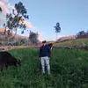 Daniel Armas - @danielarmas_19 - TikTok