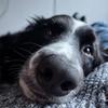 Daniel Armer858 - @darmer79 - TikTok