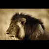 Daniel Armitage450 - @danielarmitage - TikTok