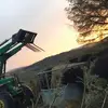 danielarmitage446 - @danielarmitage446 - TikTok