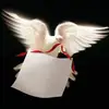 Daniel Armour - @daniel.armour03 - TikTok