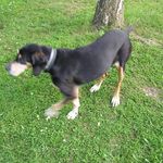Daniel Arnaud - @daniel.arnaud.545 - Instagram