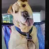 Daniel Arnett - @daniel.arnett4 - TikTok