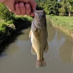 Daniel Arwine - @fishing.with.daniel - Instagram