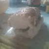 Daniel Arpino - @danielarpino - TikTok