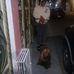 Daniel Arreguin - Facebook