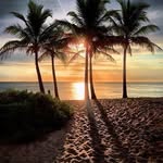 Carlos Daniel Arrigoni Dotta - @arrigonidotta - Instagram