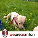 claudio - @daniela.arrigoni.da73 - Instagram