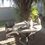 Daniel Artale - Facebook