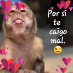 Daniel Artalejo - @artalejo.daniel - Instagram
