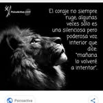 Daniel Artiles De La Cruz - @danielartilesdelacruz - Instagram