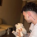 Daniel Artim - @_dani_cek - Instagram