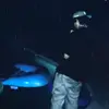 Daniel Arvizu - @dannielarvizu - TikTok