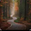 Daniel Asencio - @daniel.asencio67 - TikTok