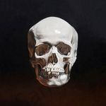 Daniel Asher Smith - @danielashersmith - Instagram
