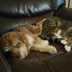 Daniel Ashmore - @daniel.ashmore.3 - Instagram