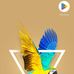 Daniel Asiamah - Facebook