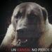 Daniel Aslan - Facebook