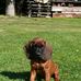 Daniel Astier - Facebook