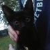 Daniel Astle - Facebook
