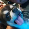 daniel asulin - @meljess_1518 - TikTok