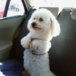 Daniel Atlan - @atlan.daniel - Instagram