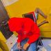 Daniel Attah - Facebook