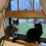 Daniel Auberry - @daniel.auberry - Instagram
