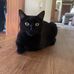Daniel Auberry - Facebook