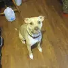 Daniel Aucoin - @daniel.aucoin - TikTok