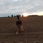 Daniels - @daniels.audia6c6 - Instagram