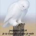 Daniel Augustin - Facebook