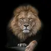 Daniel Augustinho - @daniel.augustinho7 - TikTok