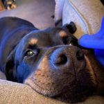Daniel Aumiller - @dreagger - Instagram