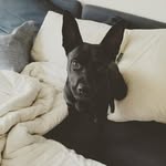 Daniel Autrey - @mehatestaters - Instagram